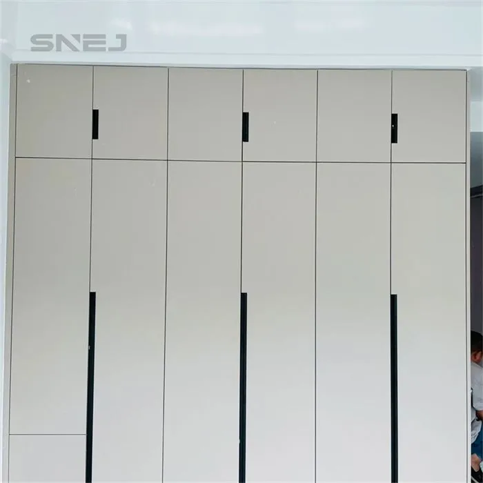Modern Minimalist White Closet With Cabinet Doors